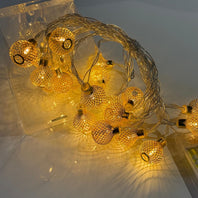 Metal Mesh Gold & Silver String Light