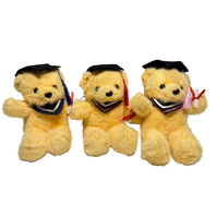 Beige Graduation Teddies