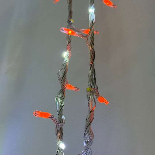 Lights 6m
