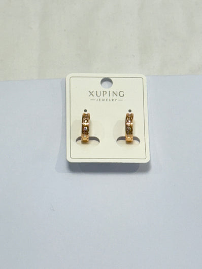Gold Ring Earring