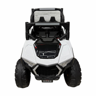 [STORE ONLY] ProR Buggy #8088