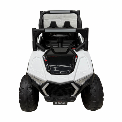 [STORE ONLY] ProR Buggy #8088