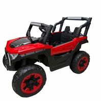 [STORE ONLY] ProR Buggy #8088