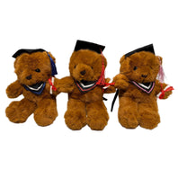 Brown Graduation Teddies