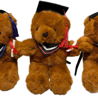 Brown Graduation Teddies